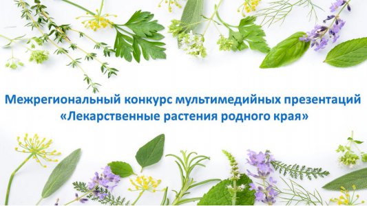 Новости II Межрегионального конкурса мультимедийных презентаций «Лекарственные растения родного края»